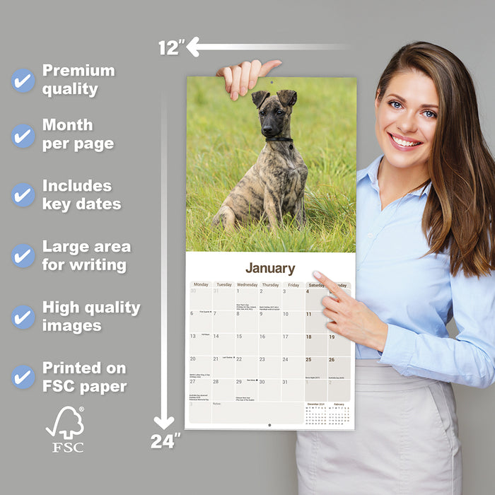 2025 Lurcher Wall Calendar (Online Exclusive)