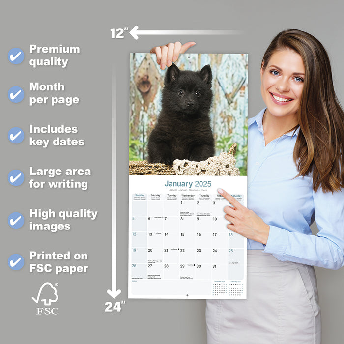 2025 Schipperke Wall Calendar (Online Exclusive)