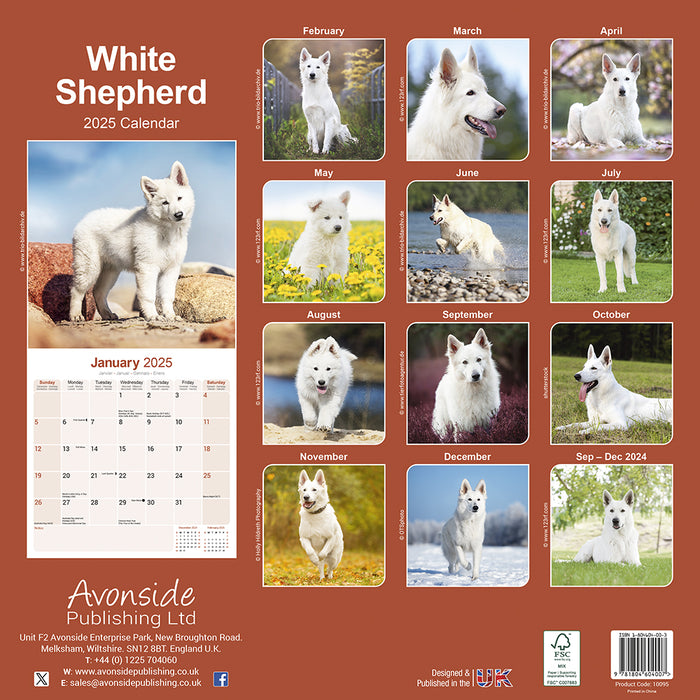 2025 White Shepherd Wall Calendar (Online Exclusive)