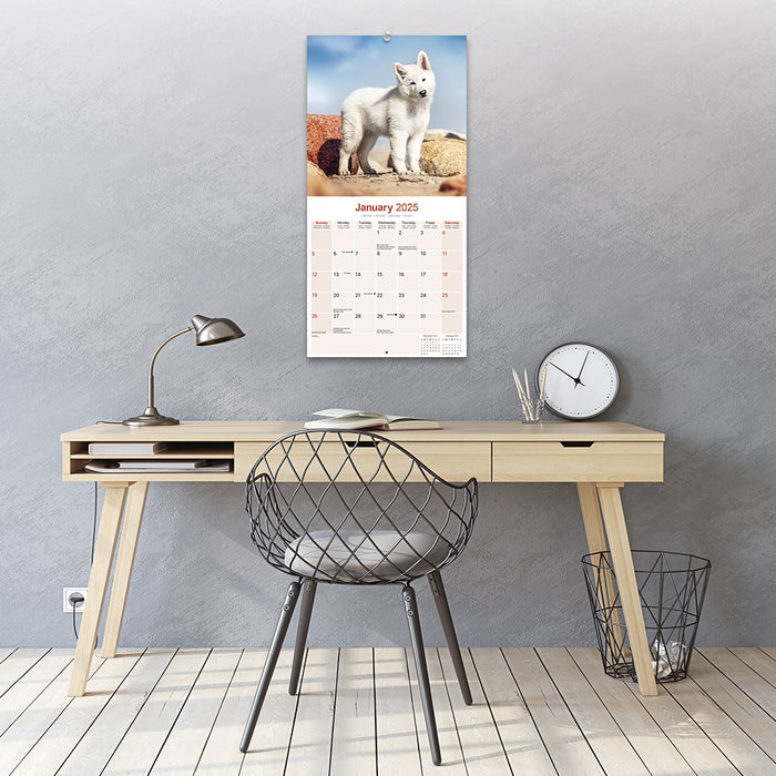 2025 White Shepherd Wall Calendar (Online Exclusive)