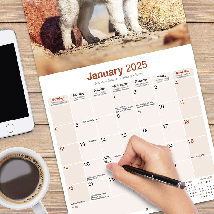 2025 White Shepherd Wall Calendar (Online Exclusive)