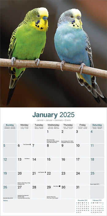 2025 Budgerigar Wall Calendar (Online Exclusive)