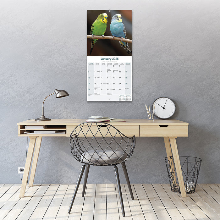 2025 Budgerigar Wall Calendar (Online Exclusive)