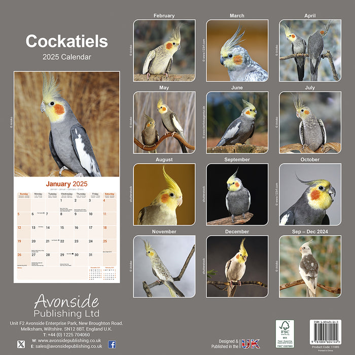 2025 Cockatiels Wall Calendar (Online Exclusive)