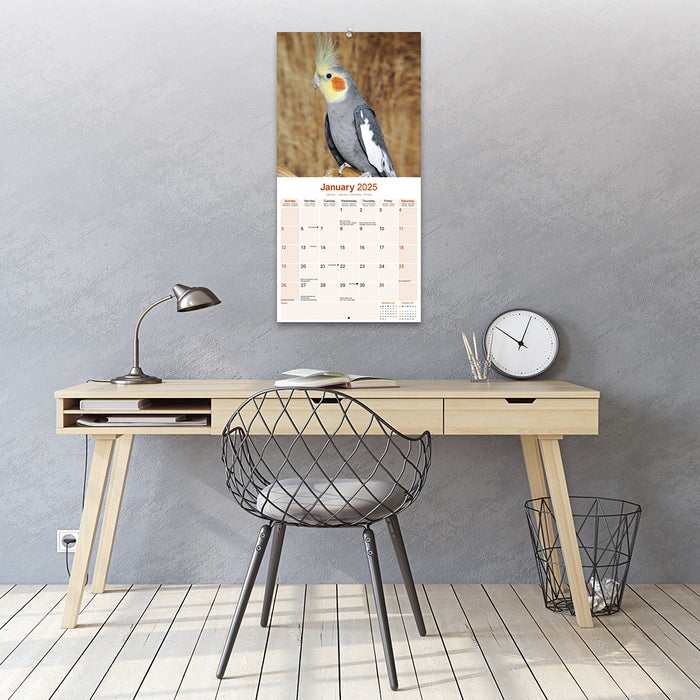 2025 Cockatiels Wall Calendar (Online Exclusive)