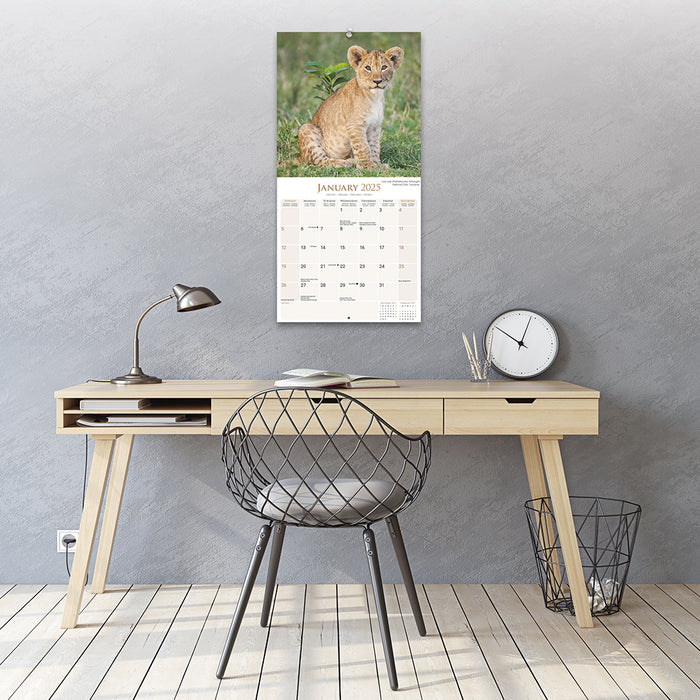 2025 African Wildlife Wall Calendar (Online Exclusive)