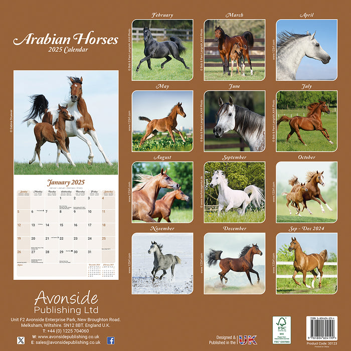 2025 Arabian Horses Wall Calendar