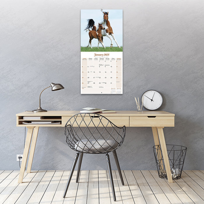 2025 Arabian Horses Wall Calendar