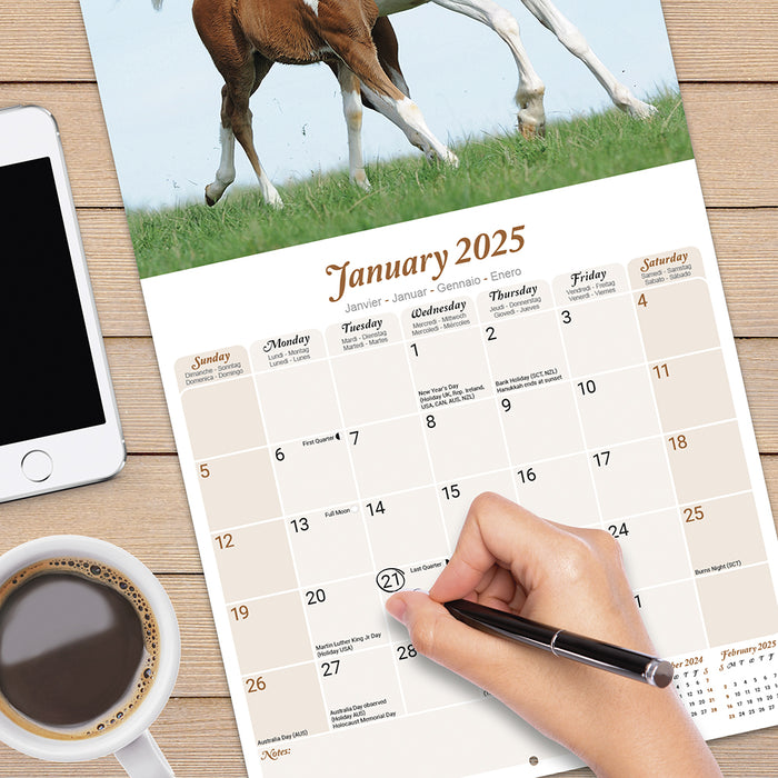 2025 Arabian Horses Wall Calendar