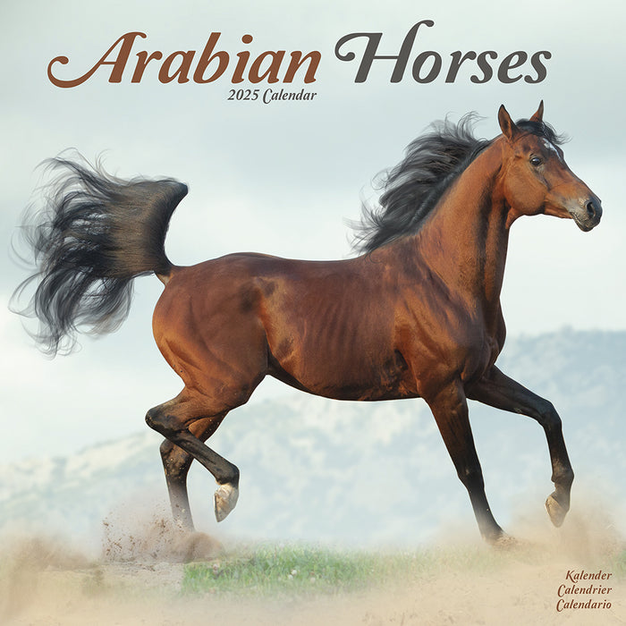 2025 Arabian Horses Wall Calendar