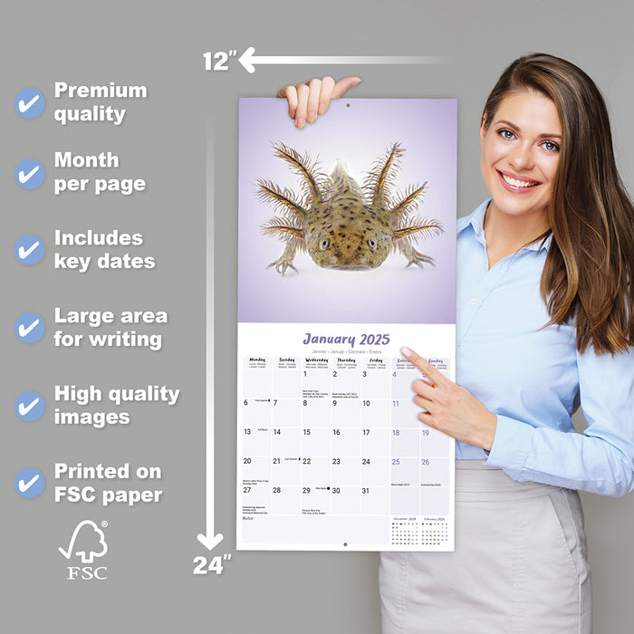 2025 Axolotls Wall Calendar (Online Exclusive)