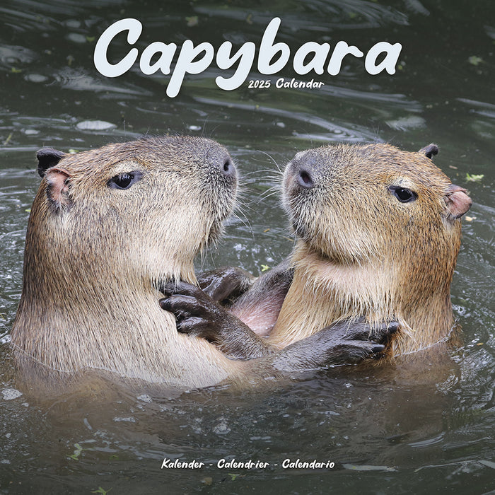 2025 Capybara Wall Calendar (Online Exclusive)