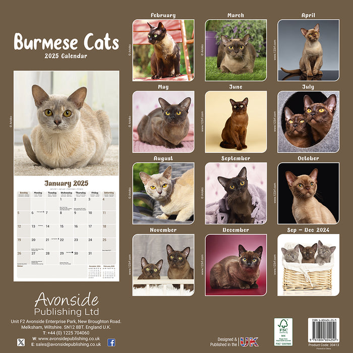 2025 Cats Burmese Wall Calendar