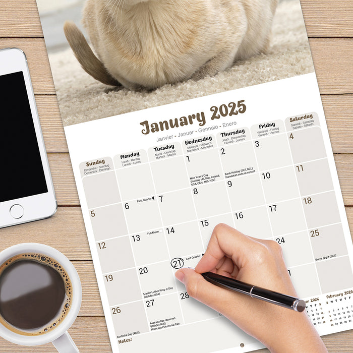 2025 Cats Burmese Wall Calendar