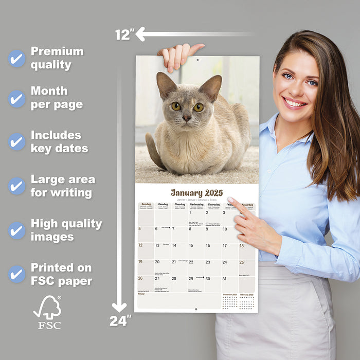 2025 Cats Burmese Wall Calendar