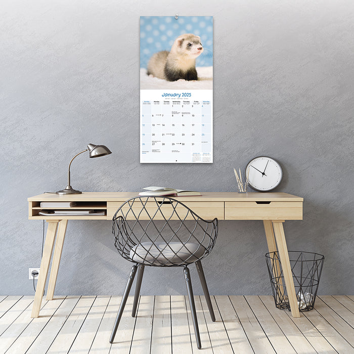 2025 Ferrets Wall Calendar (Online Exclusive)