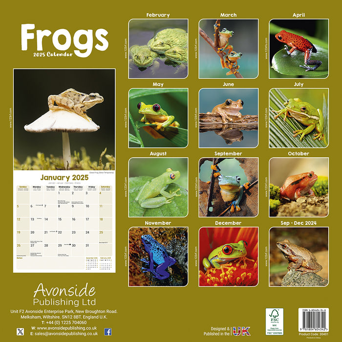 2025 Frogs Wall Calendar