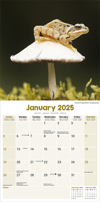 2025 Frogs Wall Calendar