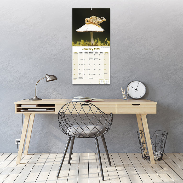 2025 Frogs Wall Calendar