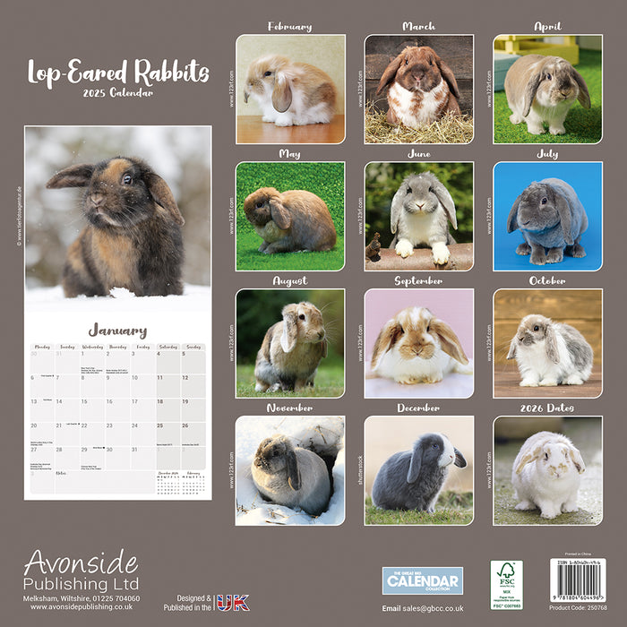 2025 Rabbits Lop Eared Wall Calendar