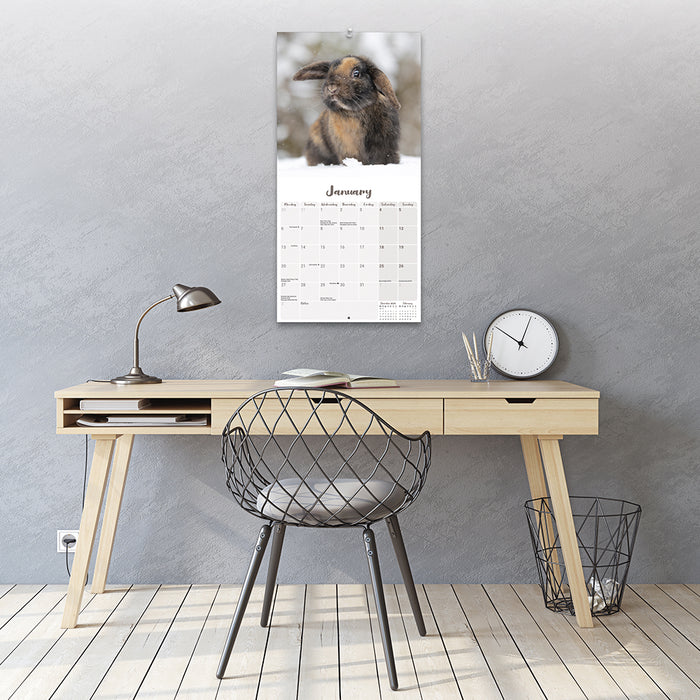 2025 Rabbits Lop Eared Wall Calendar