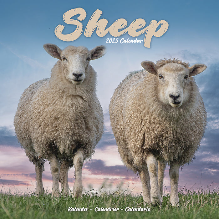 2025 Sheep Wall Calendar (Online Exclusive)