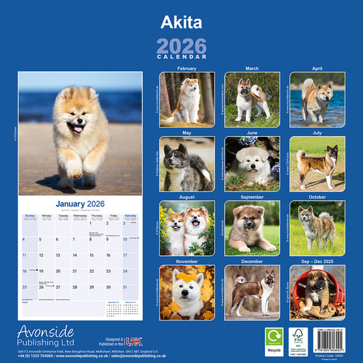 Akita 2026 Square Wall Calendar (Online Exclusive)
