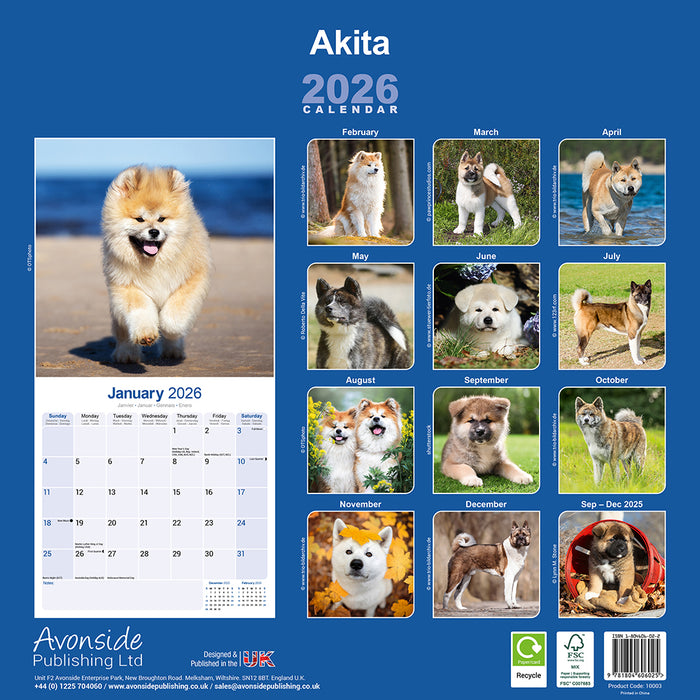 Akita 2026 Square Wall Calendar (Online Exclusive)