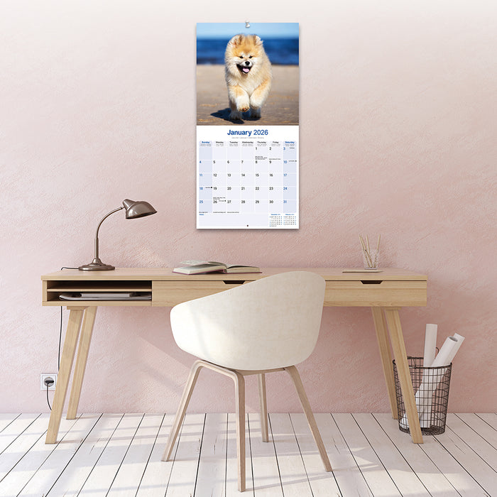 Akita 2026 Square Wall Calendar (Online Exclusive)
