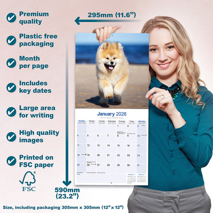 Akita 2026 Square Wall Calendar (Online Exclusive)
