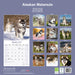 Alaskan Malamute 2026 Square Wall Calendar
