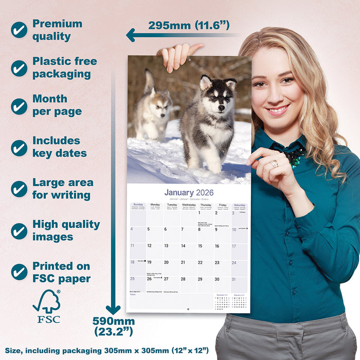 Alaskan Malamute 2026 Square Wall Calendar