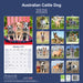 Australian Cattle Dog 2026 Square Wall Calendar