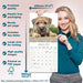 Border Terrier 2026 Square Wall Calendar (Online Exclusive)