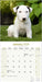 Bull Terrier 2026 Square Wall Calendar