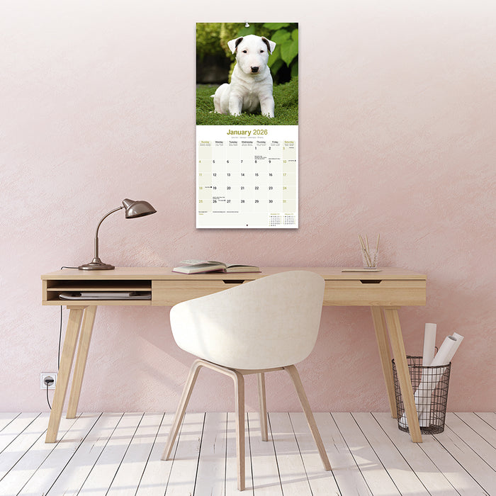 Bull Terrier 2026 Square Wall Calendar