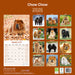 Chow Chow 2026 Square Wall Calendar