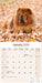 Chow Chow 2026 Square Wall Calendar