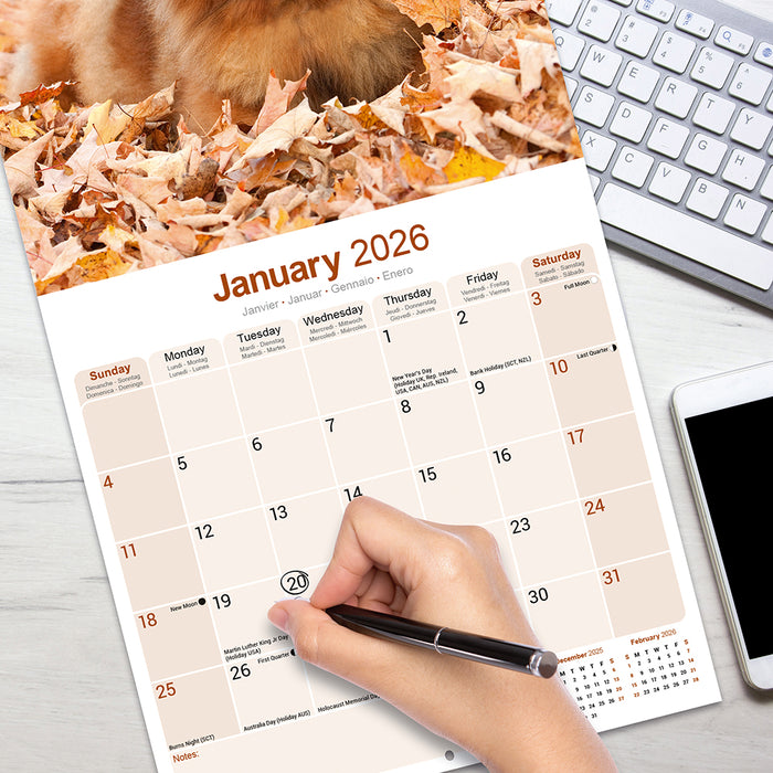 Chow Chow 2026 Square Wall Calendar