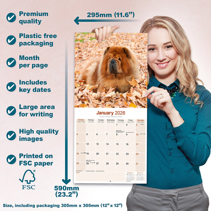 Chow Chow 2026 Square Wall Calendar