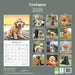 Cockapoo 2026 Square Wall Calendar