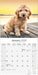 Cockapoo 2026 Square Wall Calendar