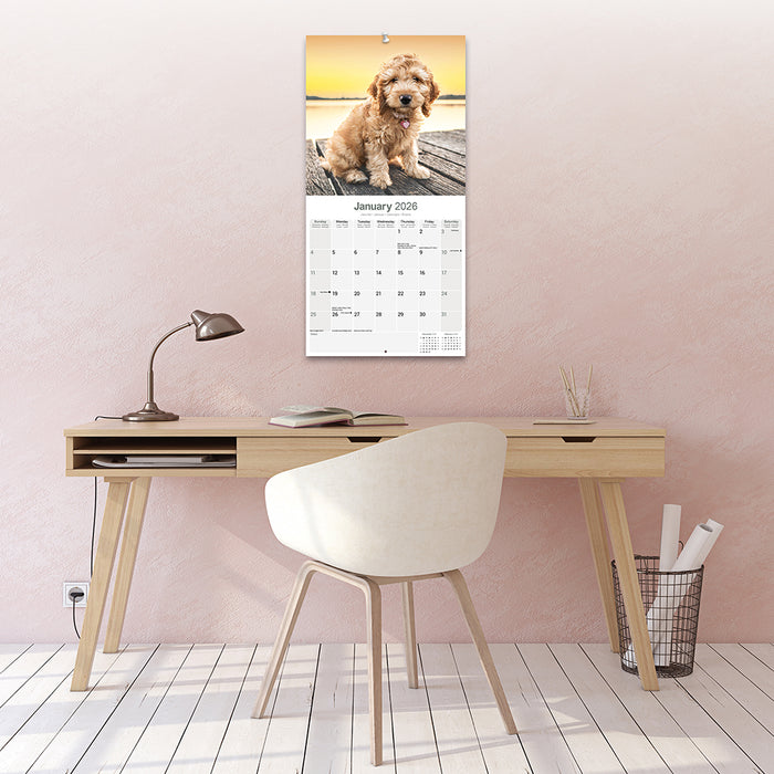 Cockapoo 2026 Square Wall Calendar