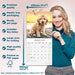 Cockapoo 2026 Square Wall Calendar