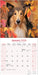 Collie 2026 Square Wall Calendar