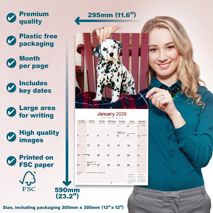 Dalmatian 2026 Square Wall Calendar