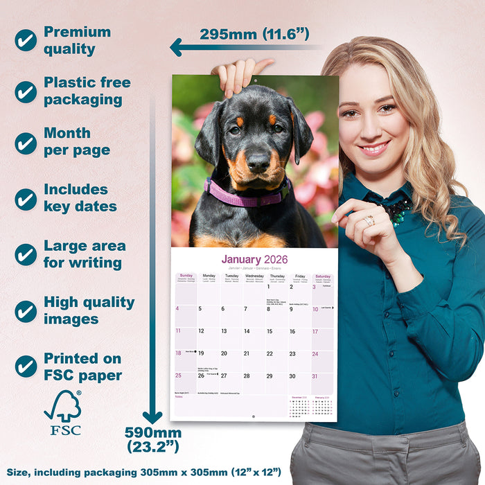 Dobermann Euro 2026 Square Wall Calendar