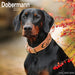 Dobermann Euro 2026 Square Wall Calendar