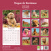 Dogue de Bordeaux 2026 Square Wall Calendar (Online Exclusive)