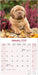 Dogue de Bordeaux 2026 Square Wall Calendar (Online Exclusive)